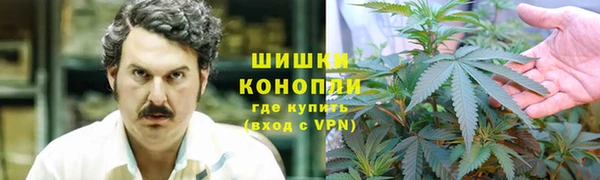 PSILOCYBIN Гусиноозёрск