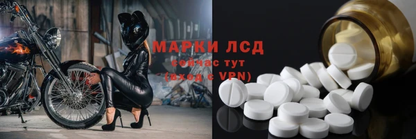 PSILOCYBIN Гусиноозёрск