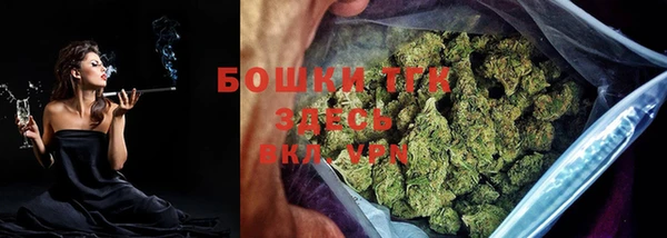 PSILOCYBIN Гусиноозёрск